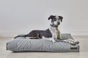 Coussin Mare