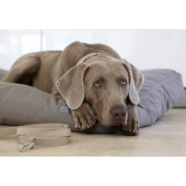 Coussin Luvio