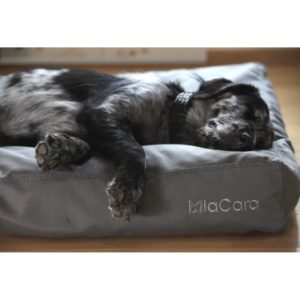 Coussin Luvio