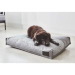 Coussin Divo