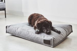 Coussin Divo