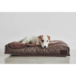 Coussin Divo