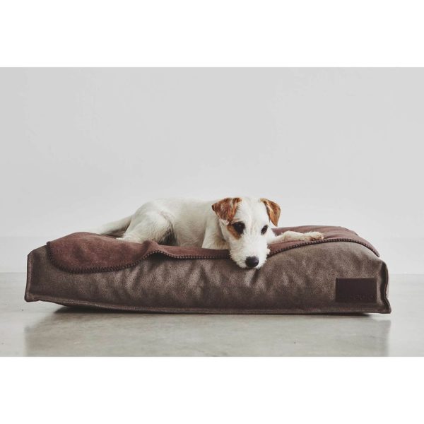 Coussin Divo