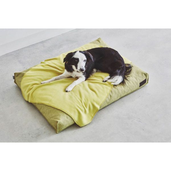 Coussin Divo