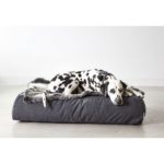 Coussin Stella lounge