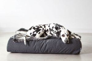 Coussin Stella lounge