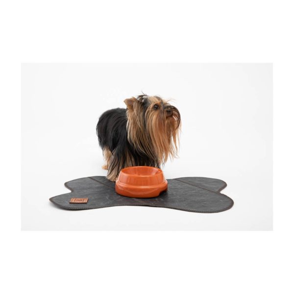 Accessoire Bruce en papier cirée