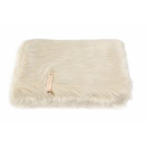 Couverture Föra