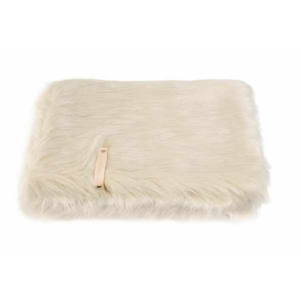 Couverture Föra
