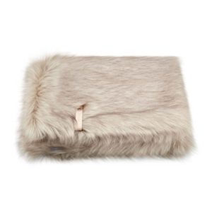 Couverture Föra