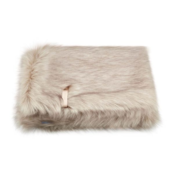 Couverture Föra