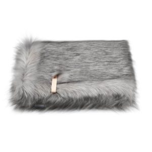 Couverture Föra