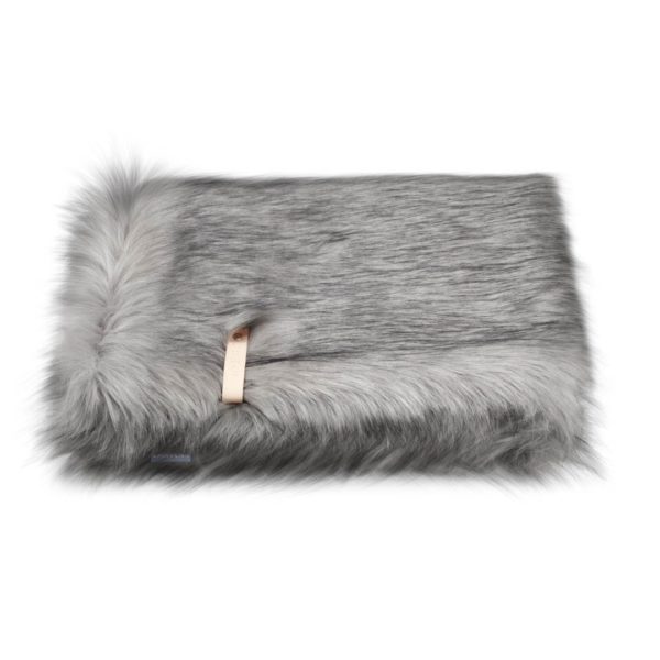 Couverture Föra