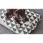 Couverture Ciello