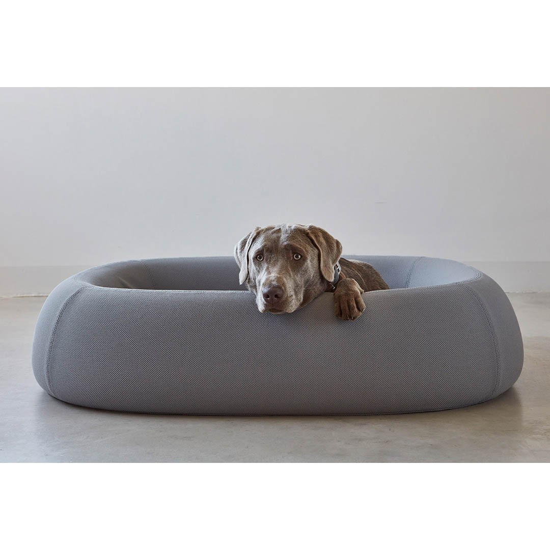 Lit à rebords Design pour chien – BARCA