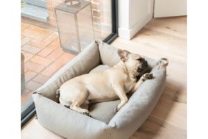 Lit pour chien à rebords - SONNO