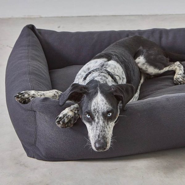 Lit pour chien à rebords - SONNO