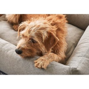 Panier pour chien en tissu écologique - MARE