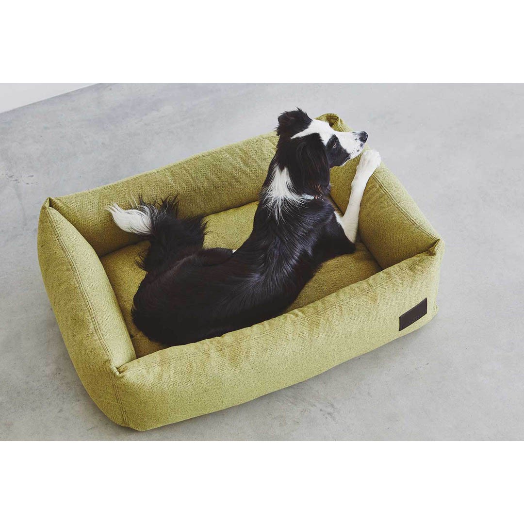 Panier Design pour chien – DIVO