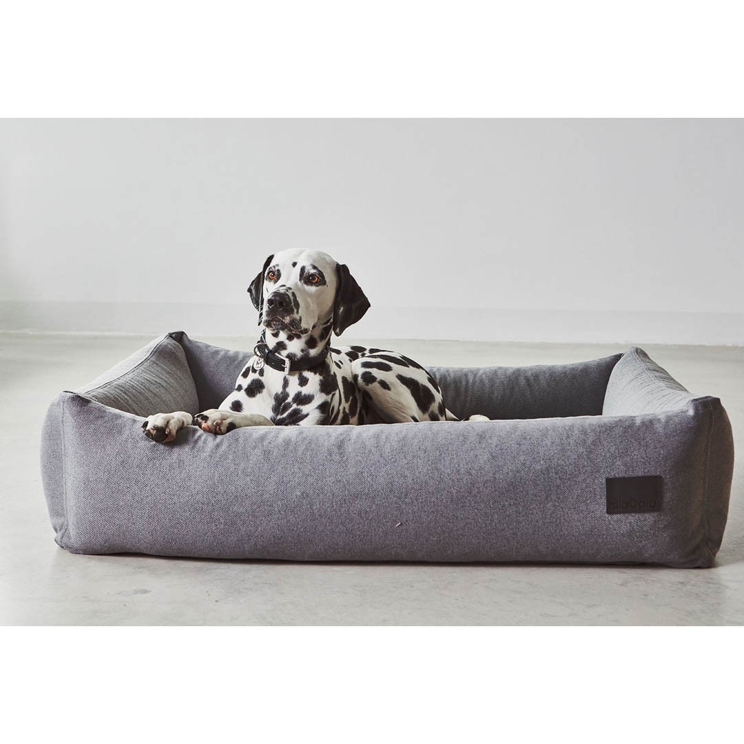 Panier Design pour chien – DIVO