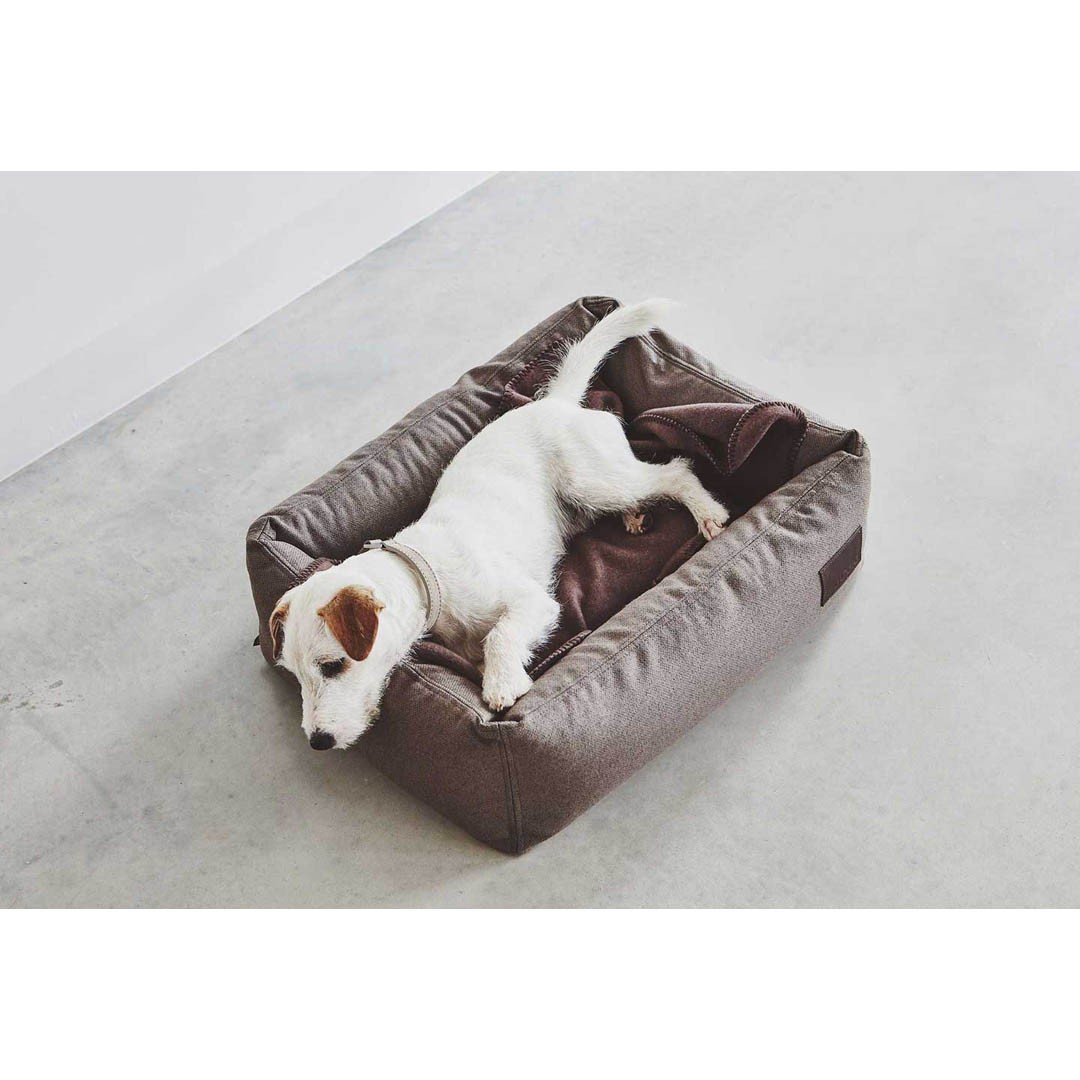 Panier Design pour chien – DIVO