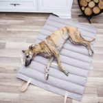 Tapis De Voyage Haut De Gamme Pour Chien - FOSSER