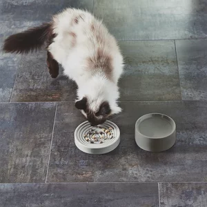 FRESCO PIATTO GAMELLE CHAT MIACARA PORCELAINE
