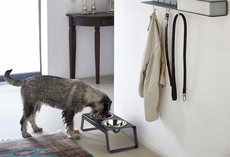 Gamelle design chien – Desco