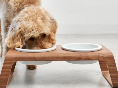 DESCO NATURAL PORCELAINE GAMELLE CHIEN EN BOIS DESIGN MIACARA