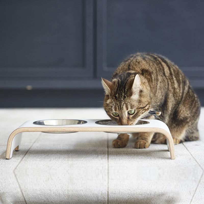 cat bar gamelle pour chat design