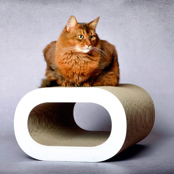 Griffoir pour chat design tronc