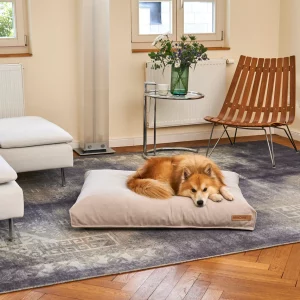 comodo miacara coussin chien design