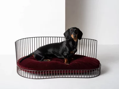 Canapé de luxe minimaliste pour chien – SMITH