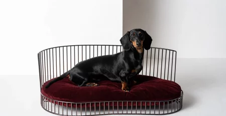 Canapé de luxe minimaliste pour chien – SMITH