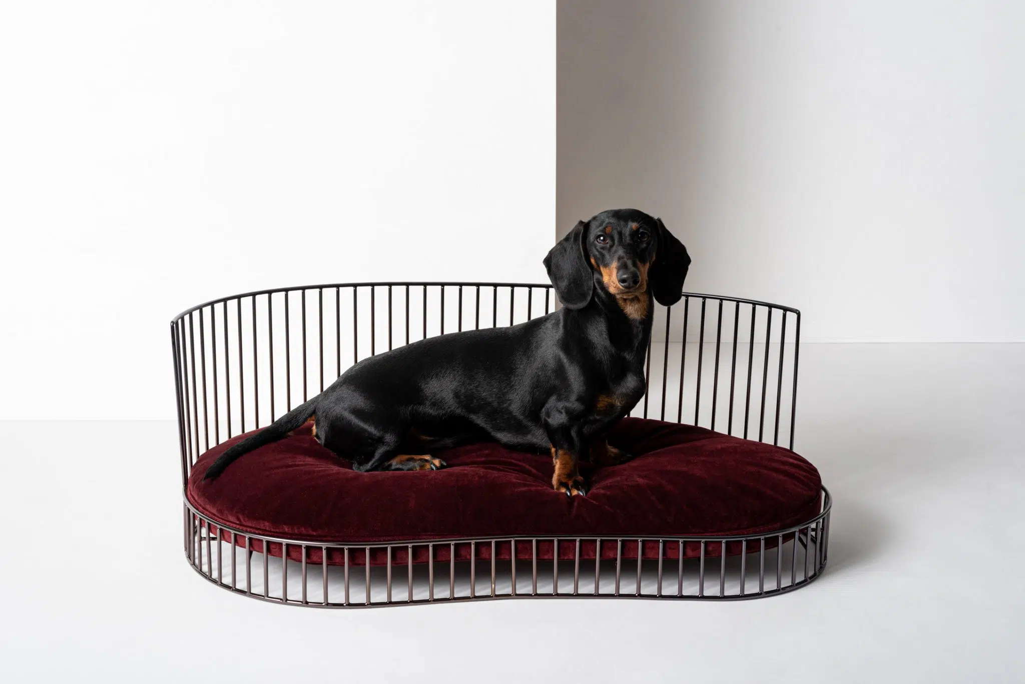 Canapé de luxe minimaliste pour chien – SMITH