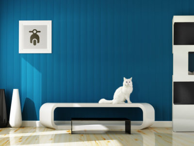 les griffes fr the one bannière accueil LesGriffes.fr, select store design pour chiens et chats