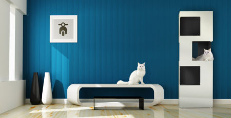 les griffes fr the one bannière accueil LesGriffes.fr, select store design pour chiens et chats