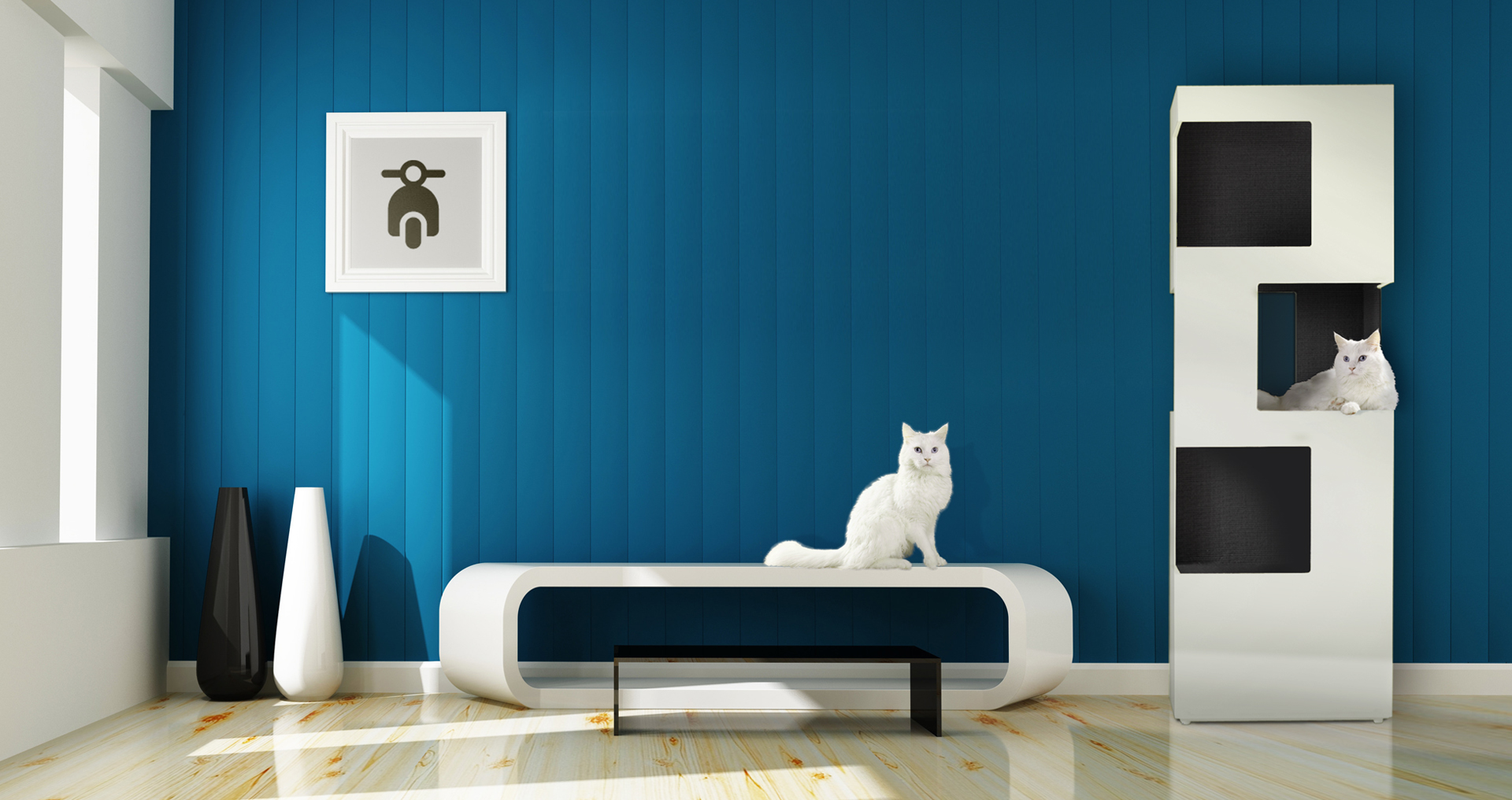 les griffes fr the one bannière accueil LesGriffes.fr, select store design pour chiens et chats