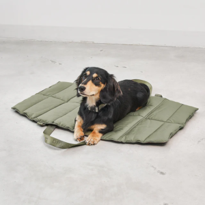 strada tapis design pour chien