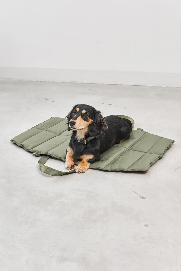 strada tapis design pour chien