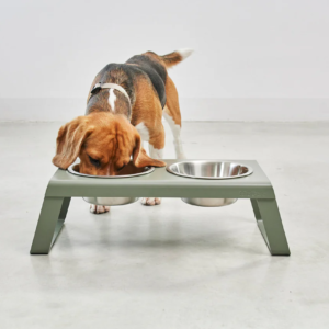 desco vert miacara gamelle design pour chien