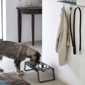 Gamelle design chien - Desco