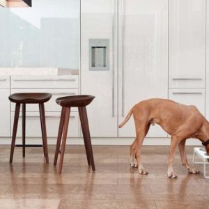 Gamelle design chien - Desco