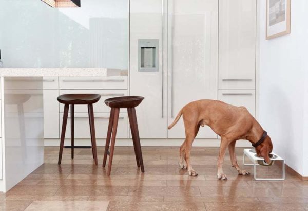 Gamelle design chien - Desco