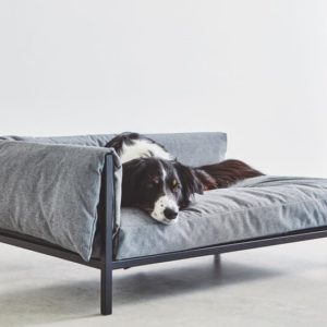 Canapé de luxe pour chien - BRANDINA