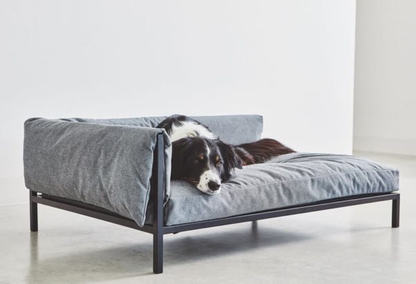 Canapé de luxe pour chien - BRANDINA