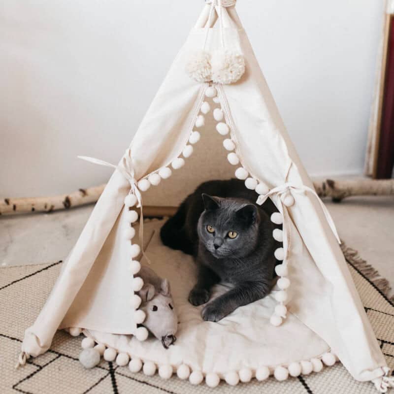 Tipi design pour chat fait main