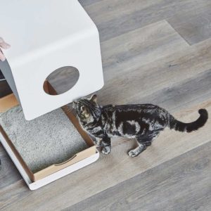Pack de rechange carton - SITO