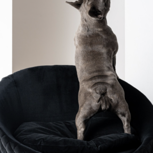 victoria couchage de luxe pour chien et chat taylord