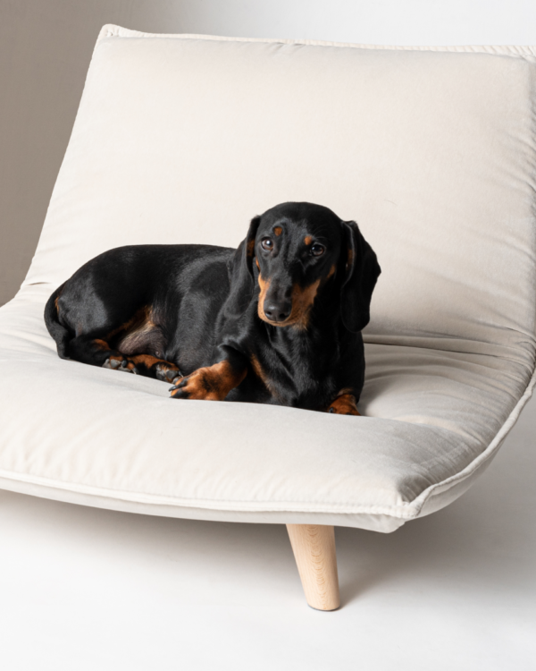 boden couchage de luxe pour chien et chat taylord